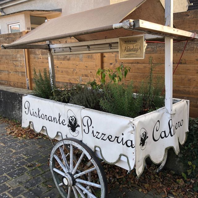 Pasta Restaurant